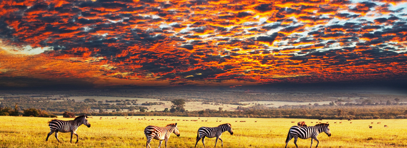 Fill 1400x510 safr 2 rid shutterstock 90117172