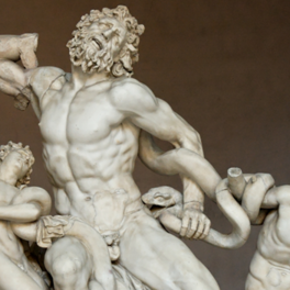 Fill 264x264 laoconte musei vaticani