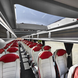 Fill 264x264 bus platinium3