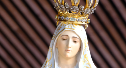 Fill 440x240 screenshot 2025 02 10 152205