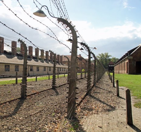 Auschwitz 971903 1920