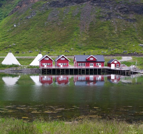 Norvegia465x435